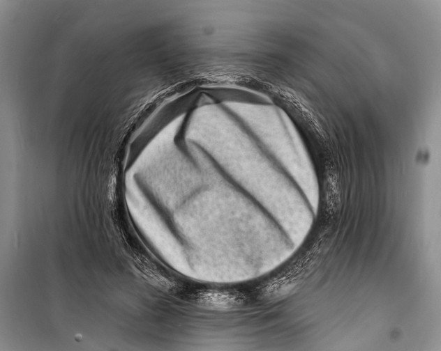 X0000098200596200805151230