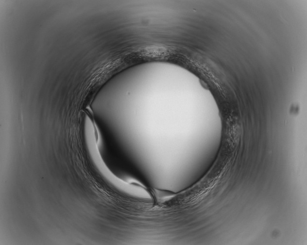 X0000098200597200805151230