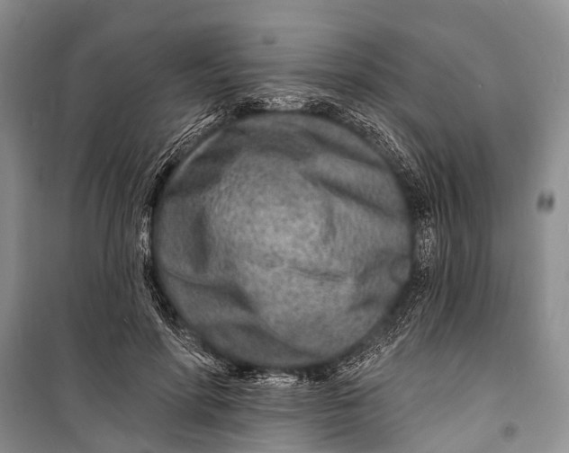 X0000098200598200805151230