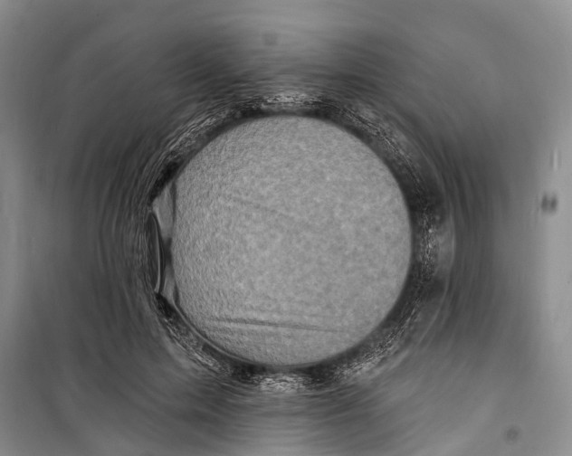 X0000098200599200805151230