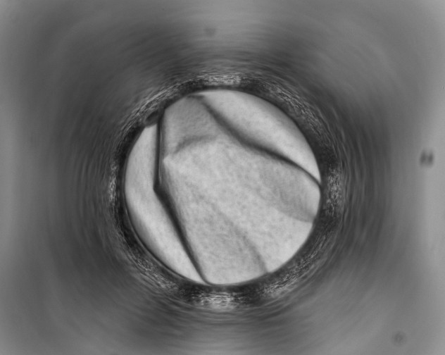 X0000098200600200805151230