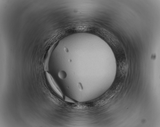 X0000098200601200805151230