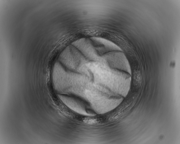 X0000098200602200805151230