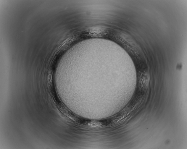 X0000098200603200805151230