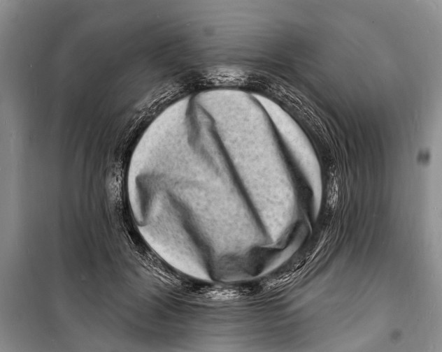X0000098200604200805151230