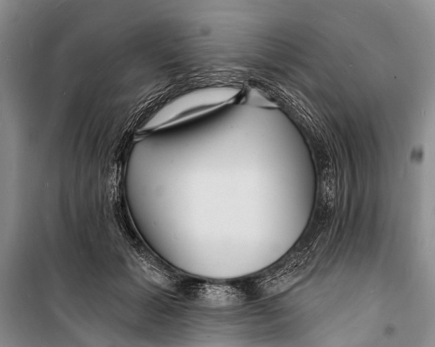X0000098200605200805151230