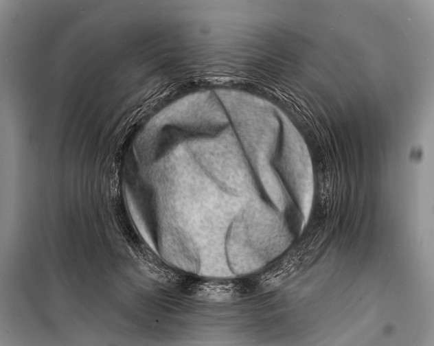 X0000098200606200805151230