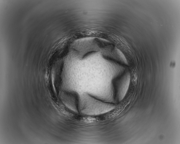 X0000098200607200805151230