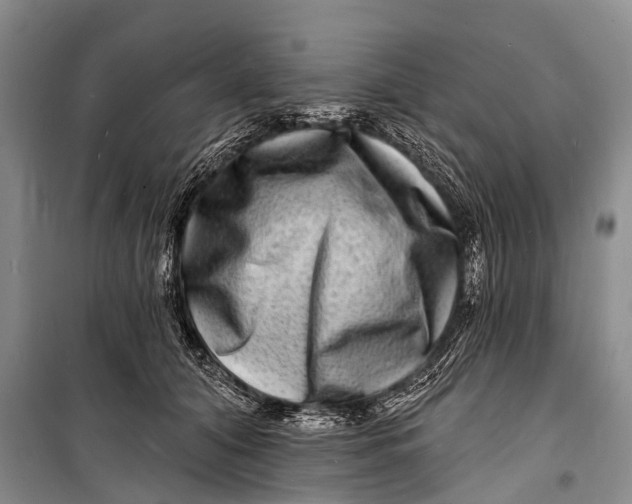 X0000098200608200805151230