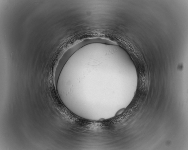 X0000098200609200805151230