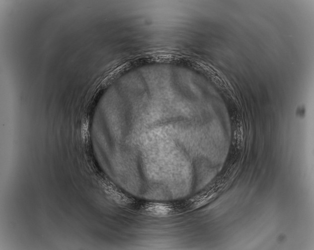 X0000098200610200805151230
