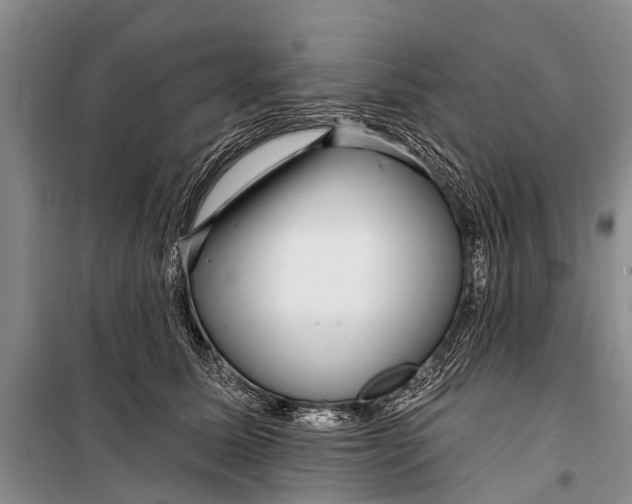 X0000098200611200805151230