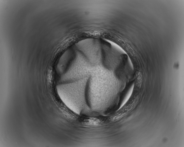 X0000098200612200805151230