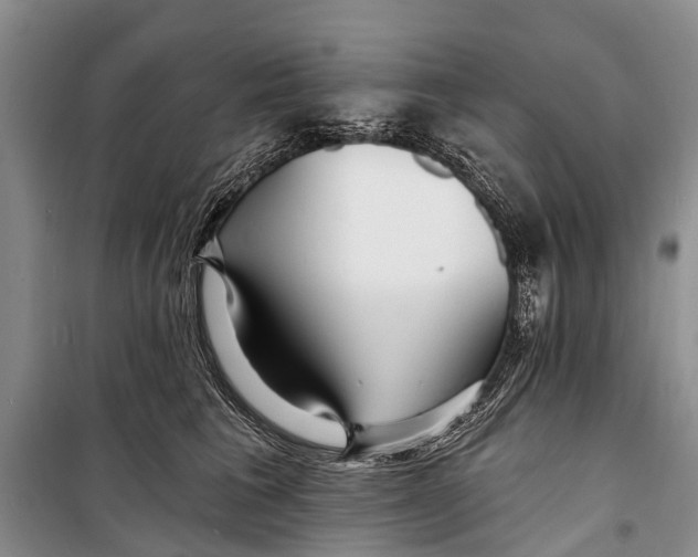 X0000098200613200805151230
