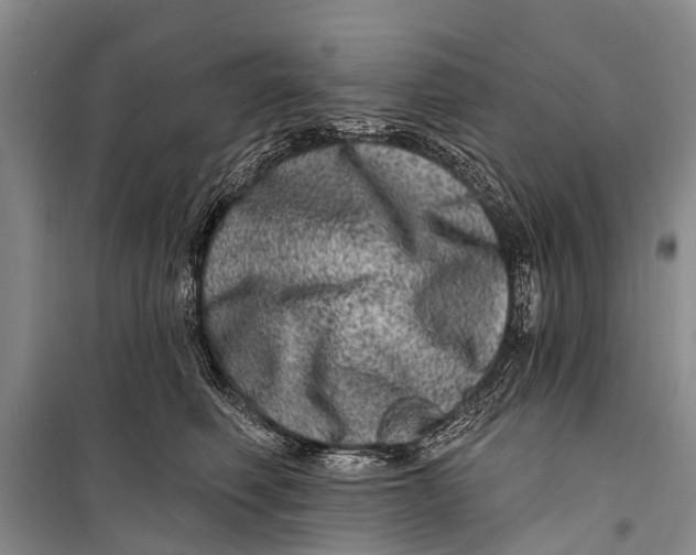 X0000098200614200805151230