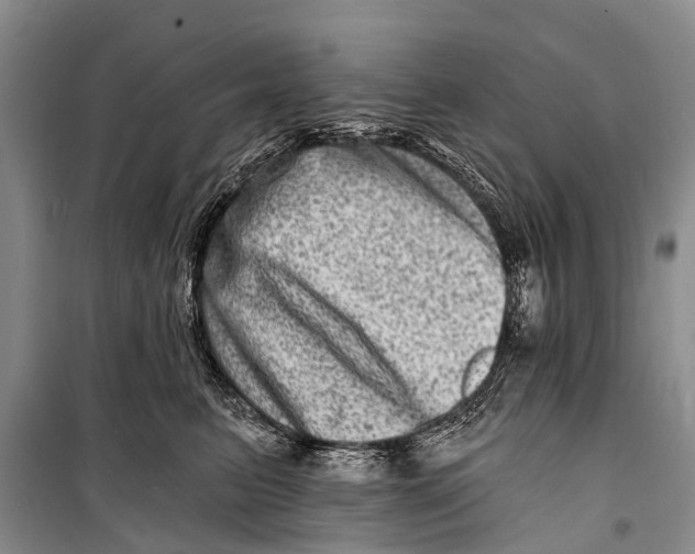 X0000098200615200805151230