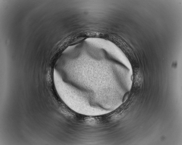 X0000098200616200805151230