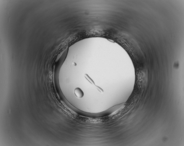 X0000098200617200805151230