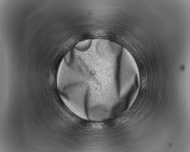X0000098200618200805151230