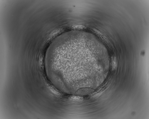 X0000098200619200805151230