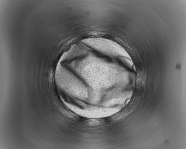 X0000098200623200805151230