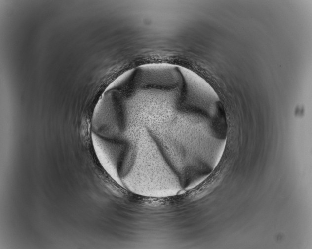 X0000098200624200805151230