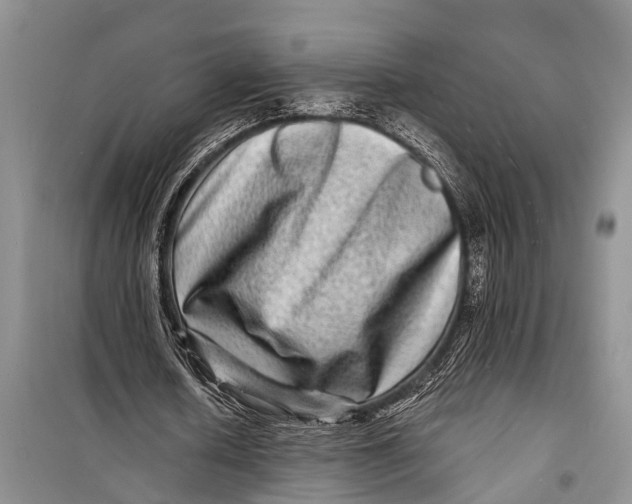 X0000098200626200805151229
