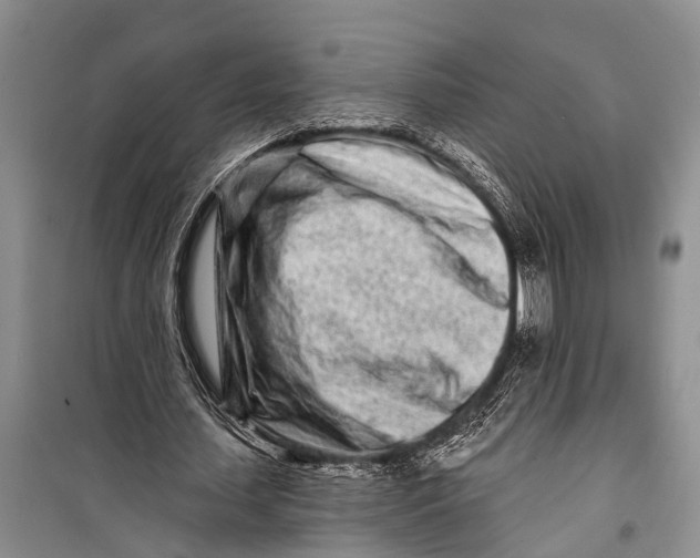X0000098200627200805151229