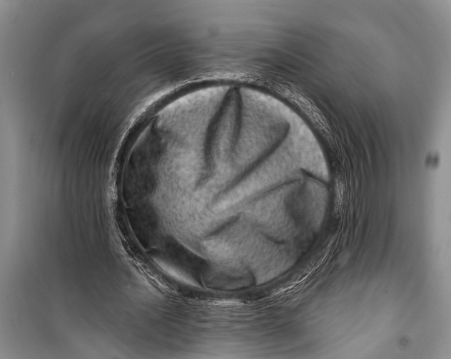 X0000098200628200805151229