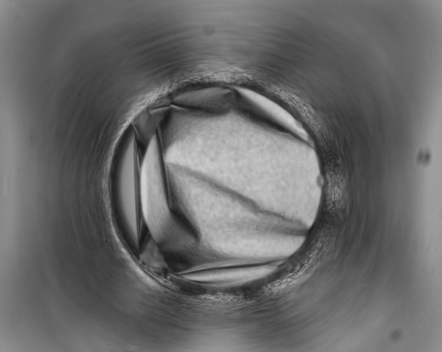 X0000098200630200805151229
