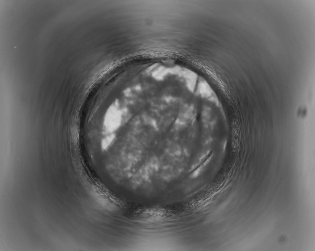 X0000098200631200805151229