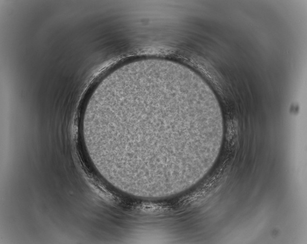 X0000098200632200805151229