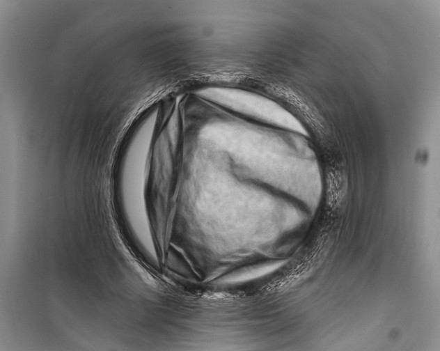 X0000098200634200805151229