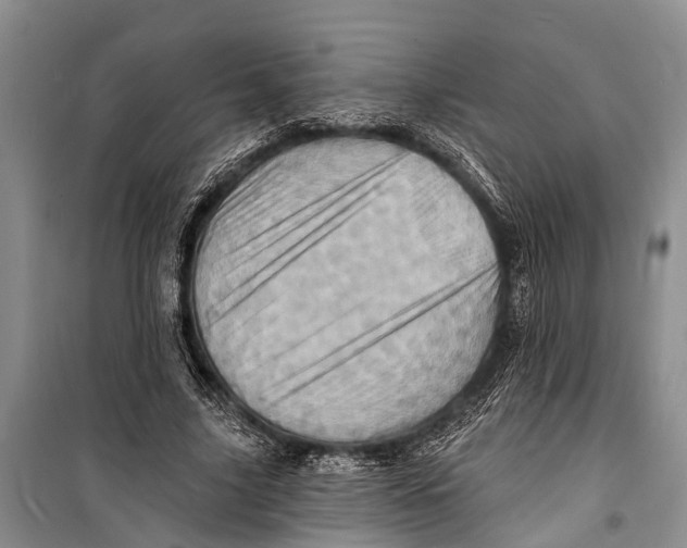 X0000098200635200805151229