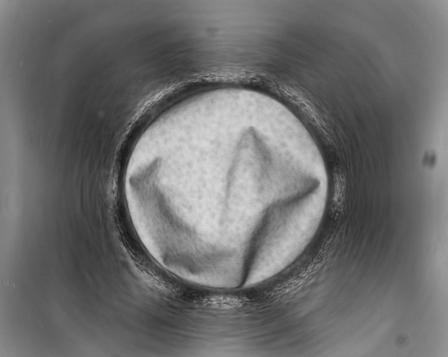 X0000098200636200805151229