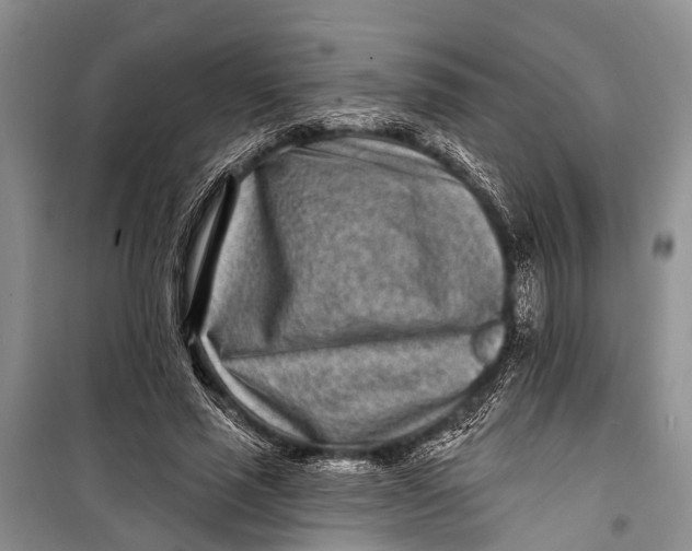 X0000098200637200805151229