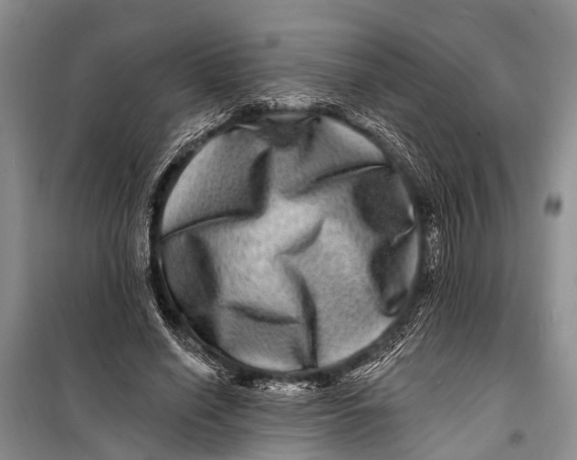 X0000098200638200805151229