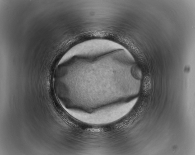 X0000098200639200805151229