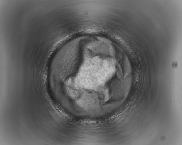 X0000098200640200805151229