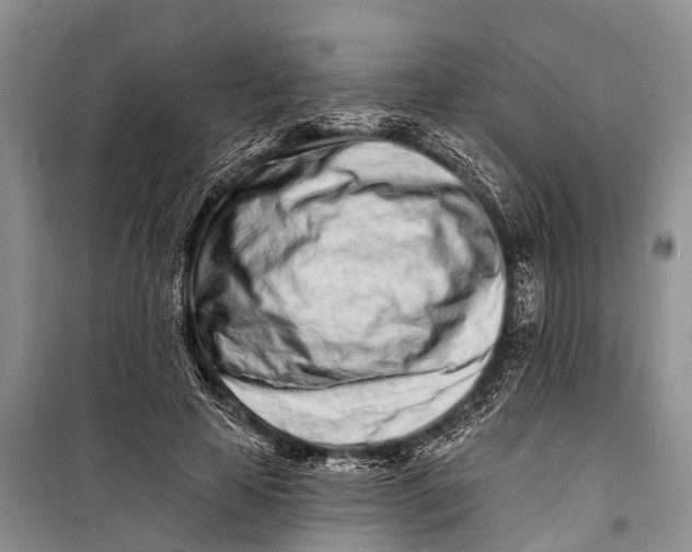 X0000098200641200805151229