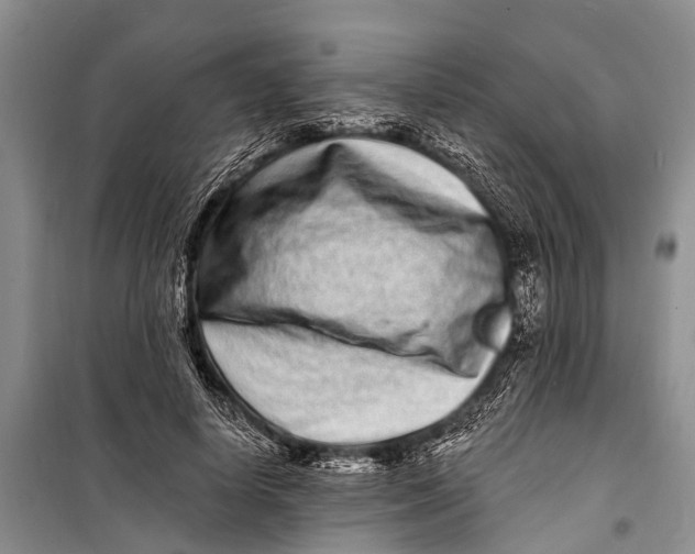 X0000098200642200805151229