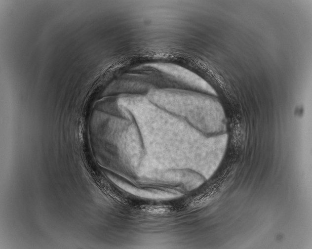 X0000098200643200805151229