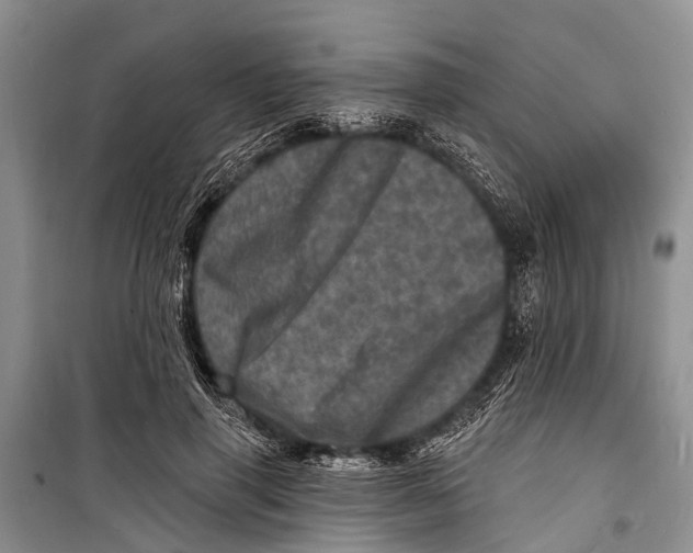 X0000098200645200805151230