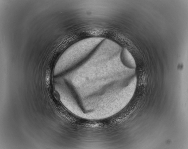X0000098200646200805151230