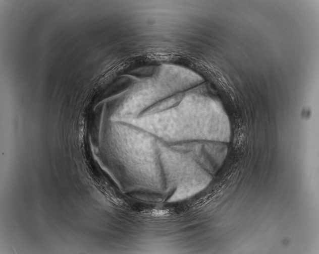 X0000098200647200805151230