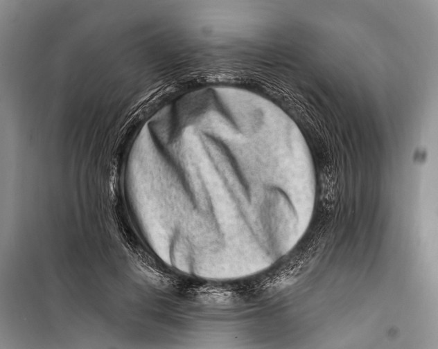 X0000098200648200805151230