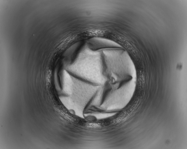 X0000098200649200805151230
