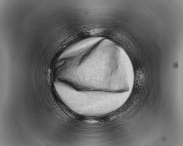 X0000098200650200805151230