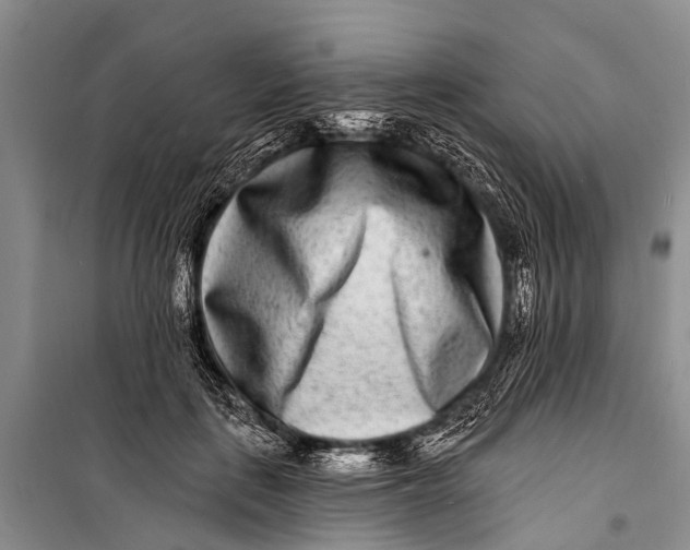 X0000098200651200805151230