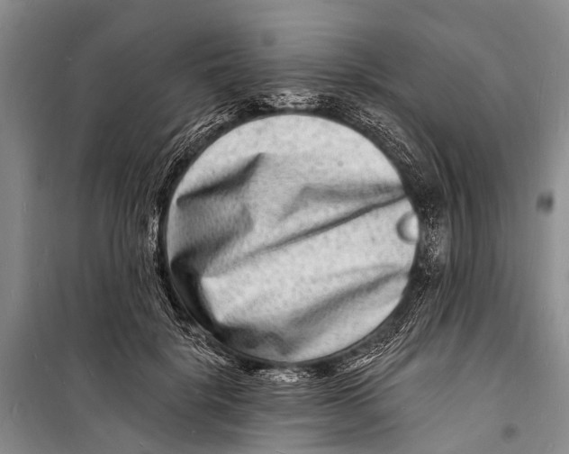 X0000098200652200805151230